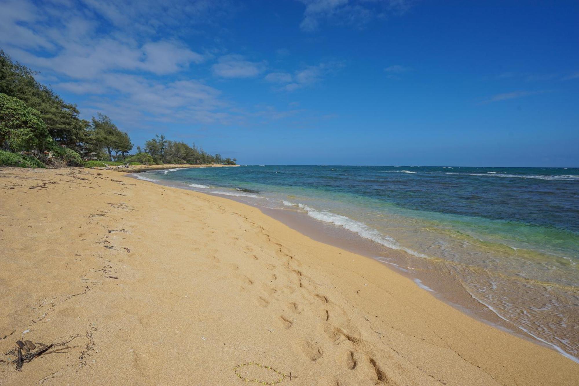 Islander On The 309 - Kapa'a