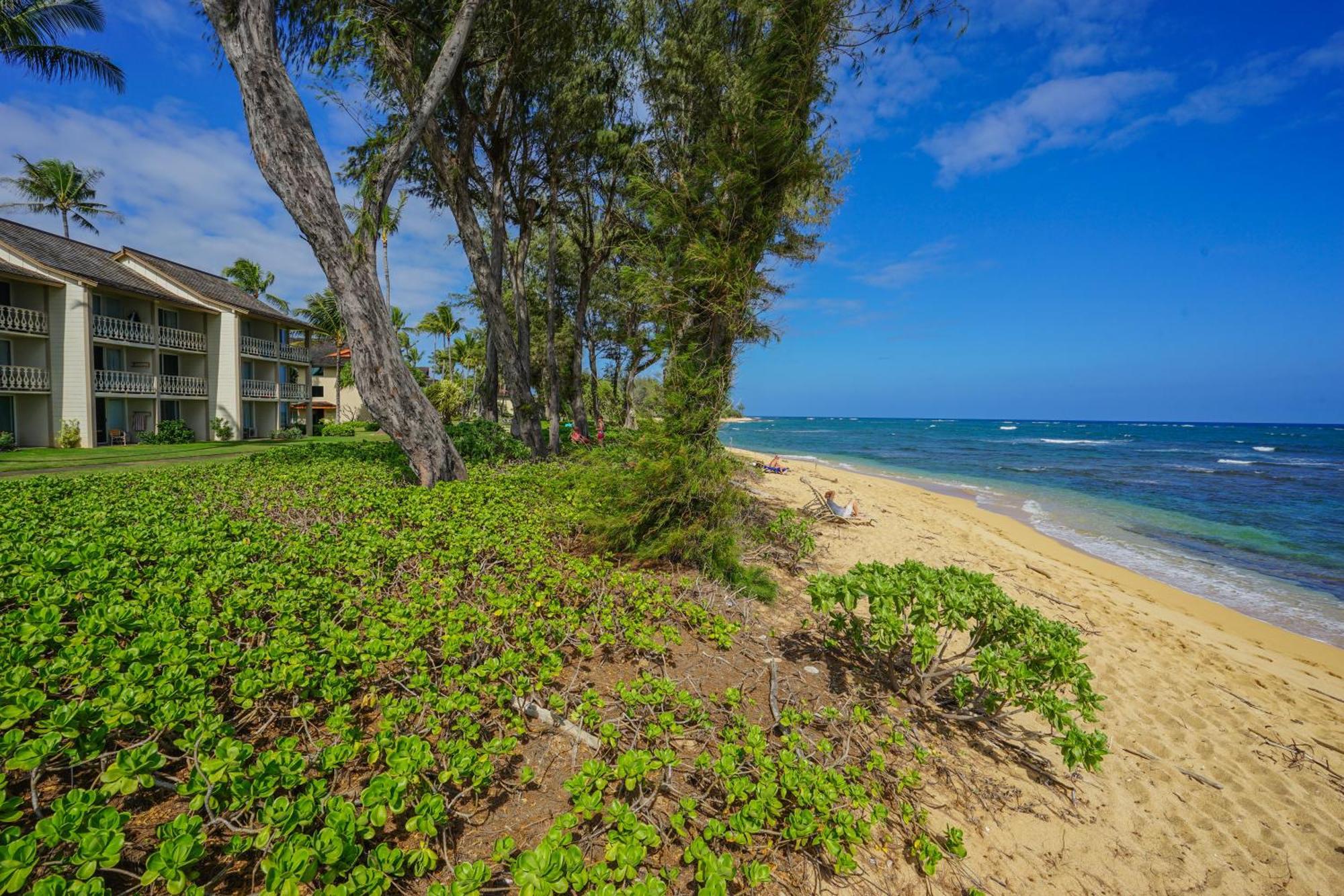 Islander On The 309 - Holiday home